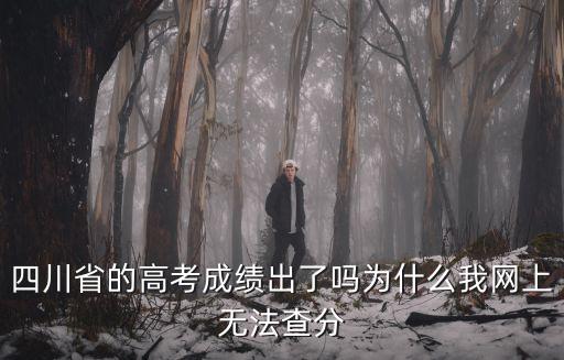 四川省教育網，四川省的高考成績出了嗎為什么我網上無法查分