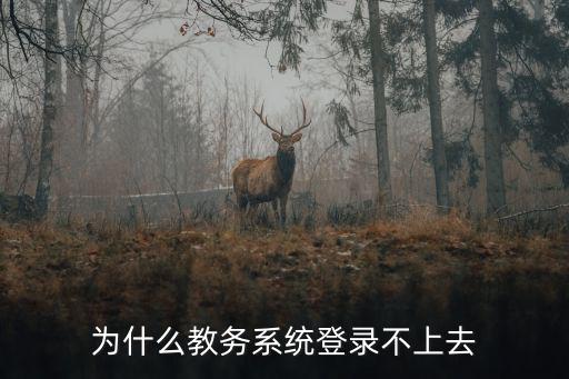 為什么教務(wù)系統(tǒng)登錄不上去