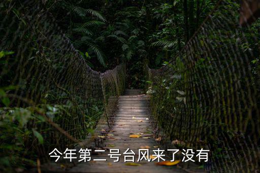 今年第二號臺風來了沒有