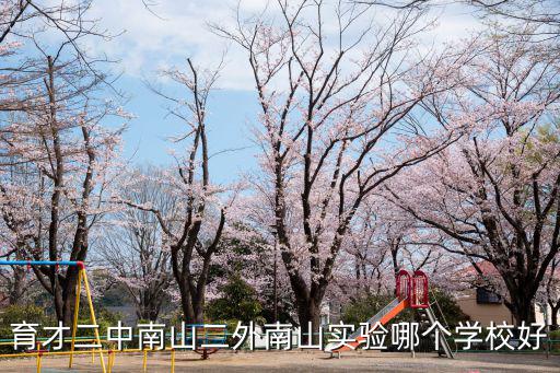 育才二中南山二外南山實驗哪個學校好