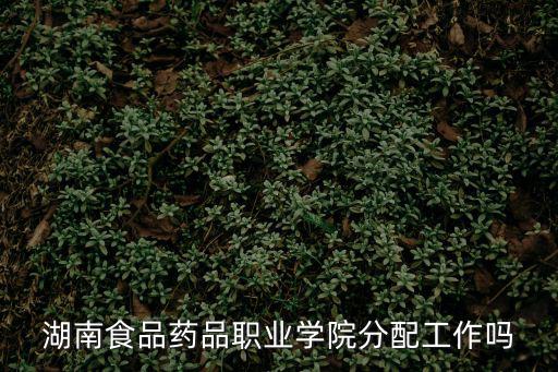 湖南食品藥品職業學院分配工作嗎