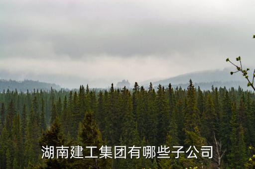 湖南建工集團有哪些子公司