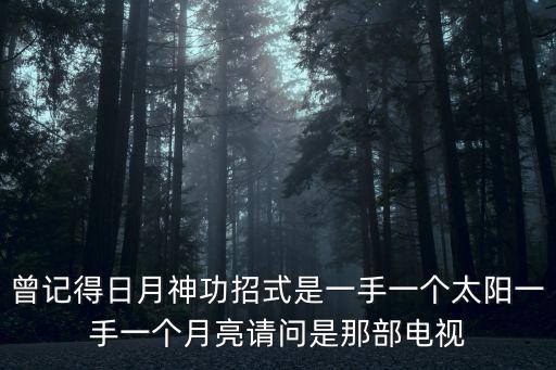 霍一手，曾記得日月神功招式是一手一個太陽一手一個月亮請問是那部電視