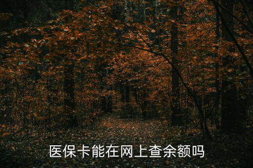 醫保卡能在網上查余額嗎
