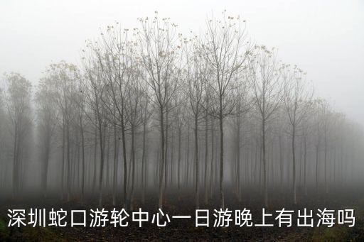 深圳蛇口游輪中心一日游晚上有出海嗎