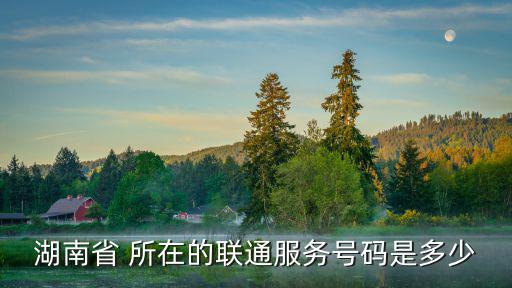 湖南省 所在的聯通服務號碼是多少