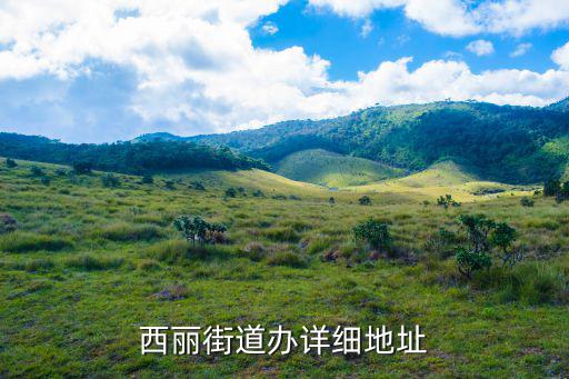西麗街道辦詳細地址
