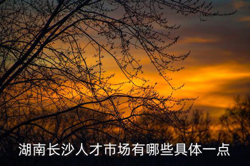 湖南長沙人才市場有哪些具體一點