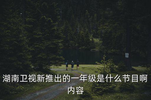 湖南衛視新推出的一年級是什么節目啊內容
