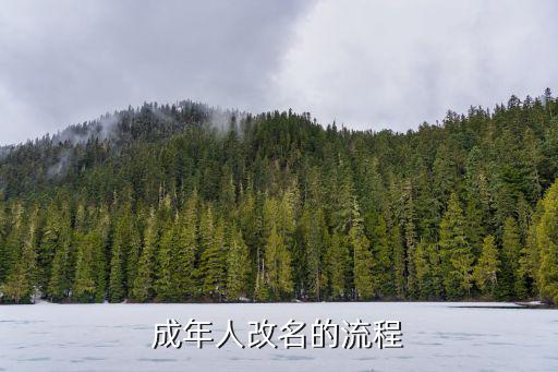 成年人改名的流程