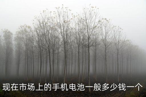 現在市場上的手機電池一般多少錢一個