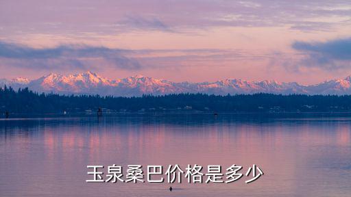 玉泉桑巴價格是多少
