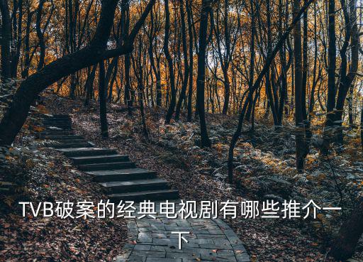 大掌門電視劇，關于女捕快的所有電視劇