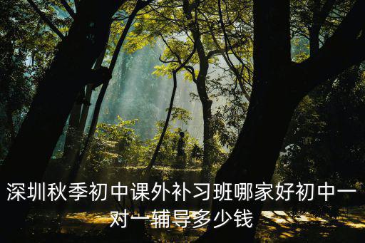 深圳秋季初中課外補(bǔ)習(xí)班哪家好初中一對一輔導(dǎo)多少錢
