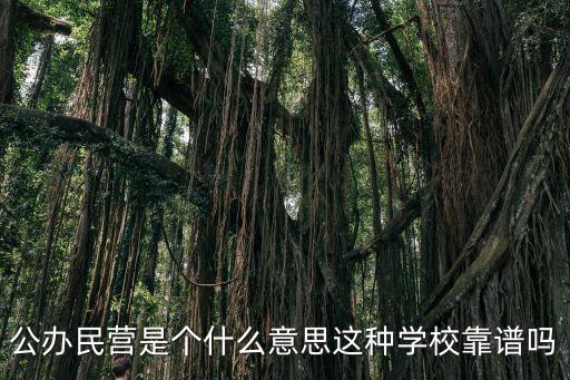 公辦民營是個什么意思這種學校靠譜嗎