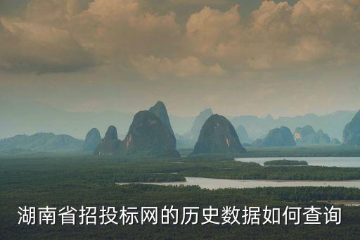 湖南省招投標網的歷史數據如何查詢