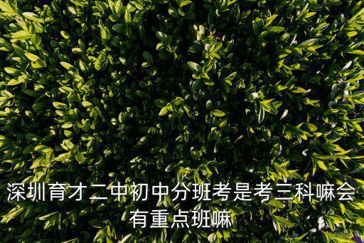 深圳育才二中初中分班考是考三科嘛會有重點班嘛