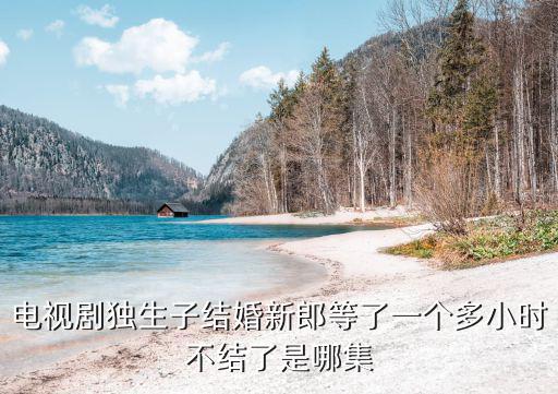 電視劇獨生子結婚新郎等了一個多小時不結了是哪集