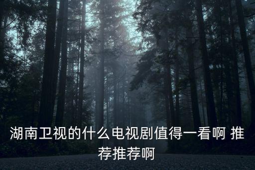 湖南衛(wèi)視的什么電視劇值得一看啊 推薦推薦啊