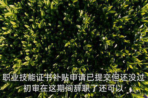 職業技能證書補貼申請已提交但還沒過初審在這期間辭職了還可以