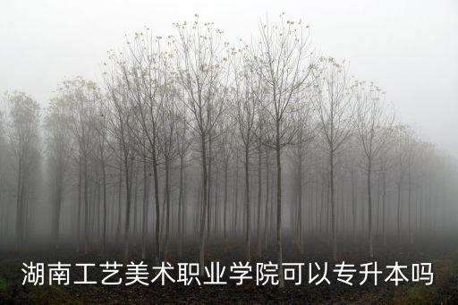 湖南工藝美術職業學院，請問湖南工藝美術職業學院到底怎么樣好不好
