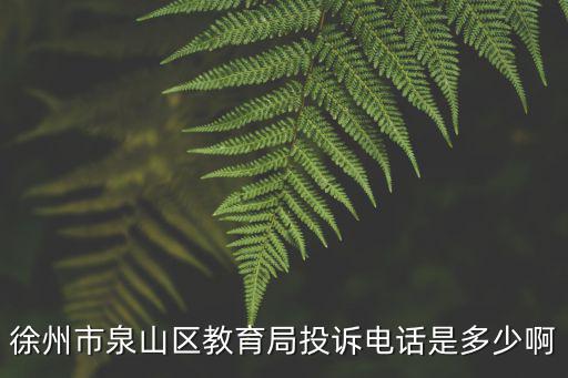 徐州市泉山區教育局投訴電話是多少啊