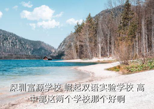 深圳富源學校，我爸爸想要我去深圳市富源學校讀我應該是去那里上初二我是屬于