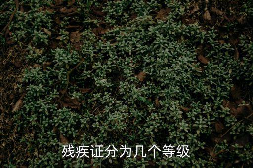 殘疾證分為幾個等級