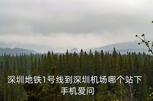 深圳地鐵1號線到深圳機場哪個站下  手機愛問