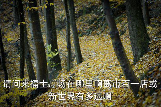 請問來福士廣場在哪里啊離市百一店或新世界有多遠啊