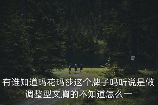 有誰知道瑪花瑪莎這個牌子嗎聽說是做調整型文胸的不知道怎么一