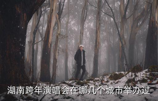 湖南跨年演唱會，exo上了那幾期湖南衛(wèi)視的跨年演唱會