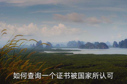 如何查詢一個證書被國家所認可