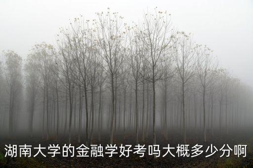 湖南大學的金融學好考嗎大概多少分啊