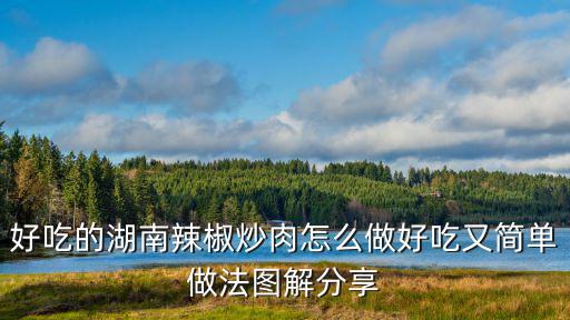 好吃的湖南辣椒炒肉怎么做好吃又簡單做法圖解分享