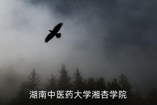 湖南中醫藥大學湘杏學院