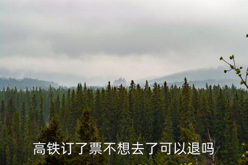 動車退票，高鐵訂了票不想去了可以退嗎