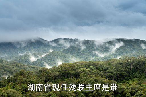 湖南省現任殘聯主席是誰