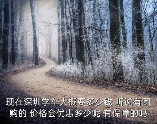 現在深圳學車大概要多少錢 聽說有團購的 價格會優惠多少呢 有保障的嗎
