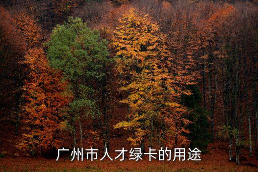 廣州市人才綠卡的用途