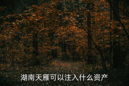 湖南天雁可以注入什么資產