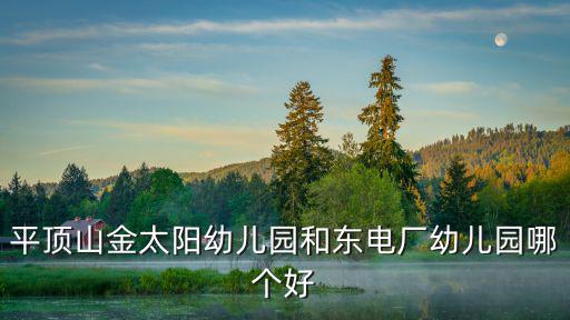 平頂山金太陽幼兒園和東電廠幼兒園哪個好