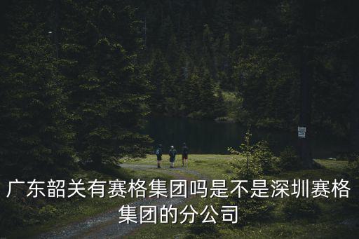廣東韶關(guān)有賽格集團(tuán)嗎是不是深圳賽格集團(tuán)的分公司