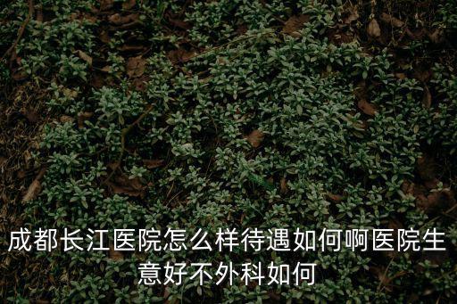 成都長江醫院怎么樣待遇如何啊醫院生意好不外科如何