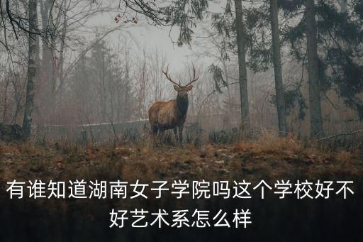 有誰知道湖南女子學院嗎這個學校好不好藝術系怎么樣