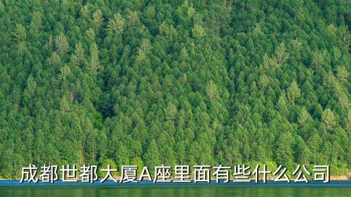 盛大汽車，成都盛大汽車服務有限公司怎么樣