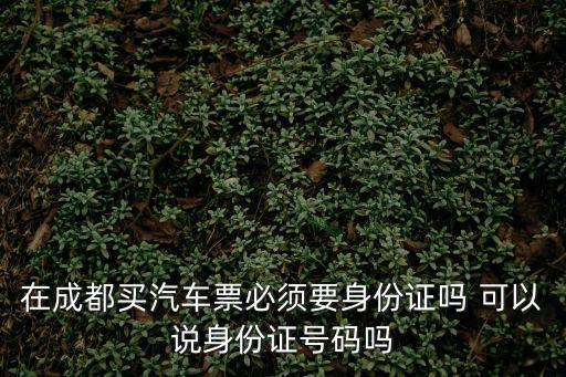 在成都買汽車票必須要身份證嗎 可以說身份證號碼嗎