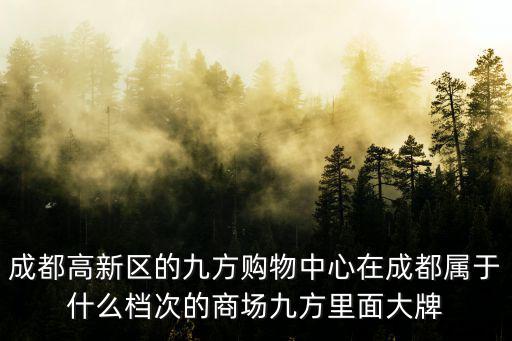 成都高新區的九方購物中心在成都屬于什么檔次的商場九方里面大牌