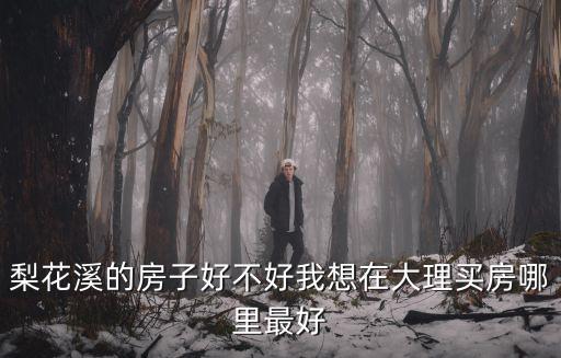 梨花溪的房子好不好我想在大理買房哪里最好