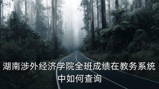 湖南涉外經(jīng)濟(jì)學(xué)院全班成績在教務(wù)系統(tǒng)中如何查詢